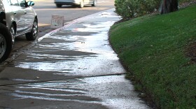 Water runs down a sidewalk on Adrian Street in Point Loma after the grass was watered by automatic sprinklers, April 10, 2015.